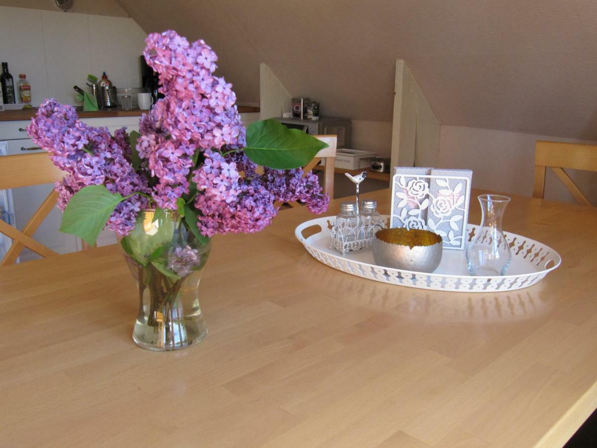 Fewo Fleckeby An Der Schlei Apartment Luaran gambar