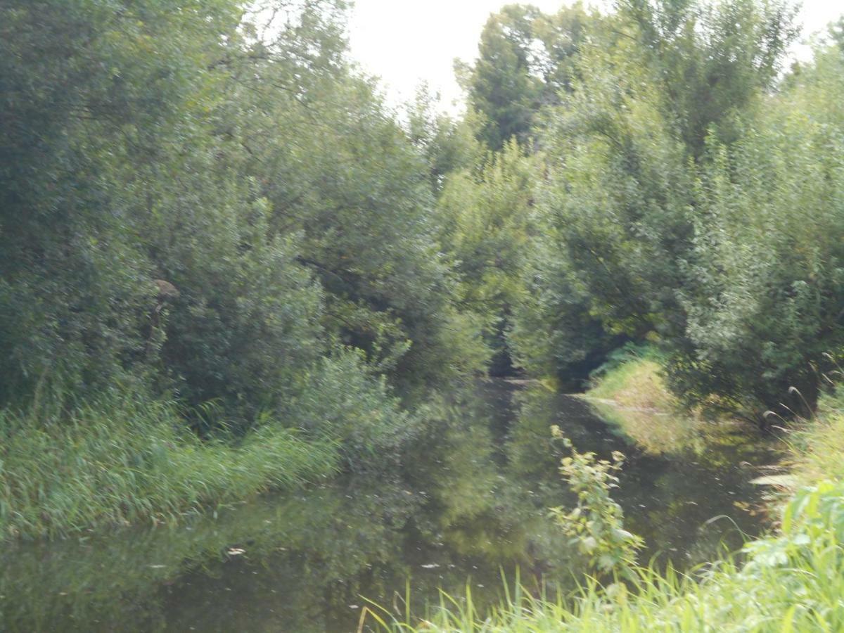 Fewo Fleckeby An Der Schlei Apartment Luaran gambar